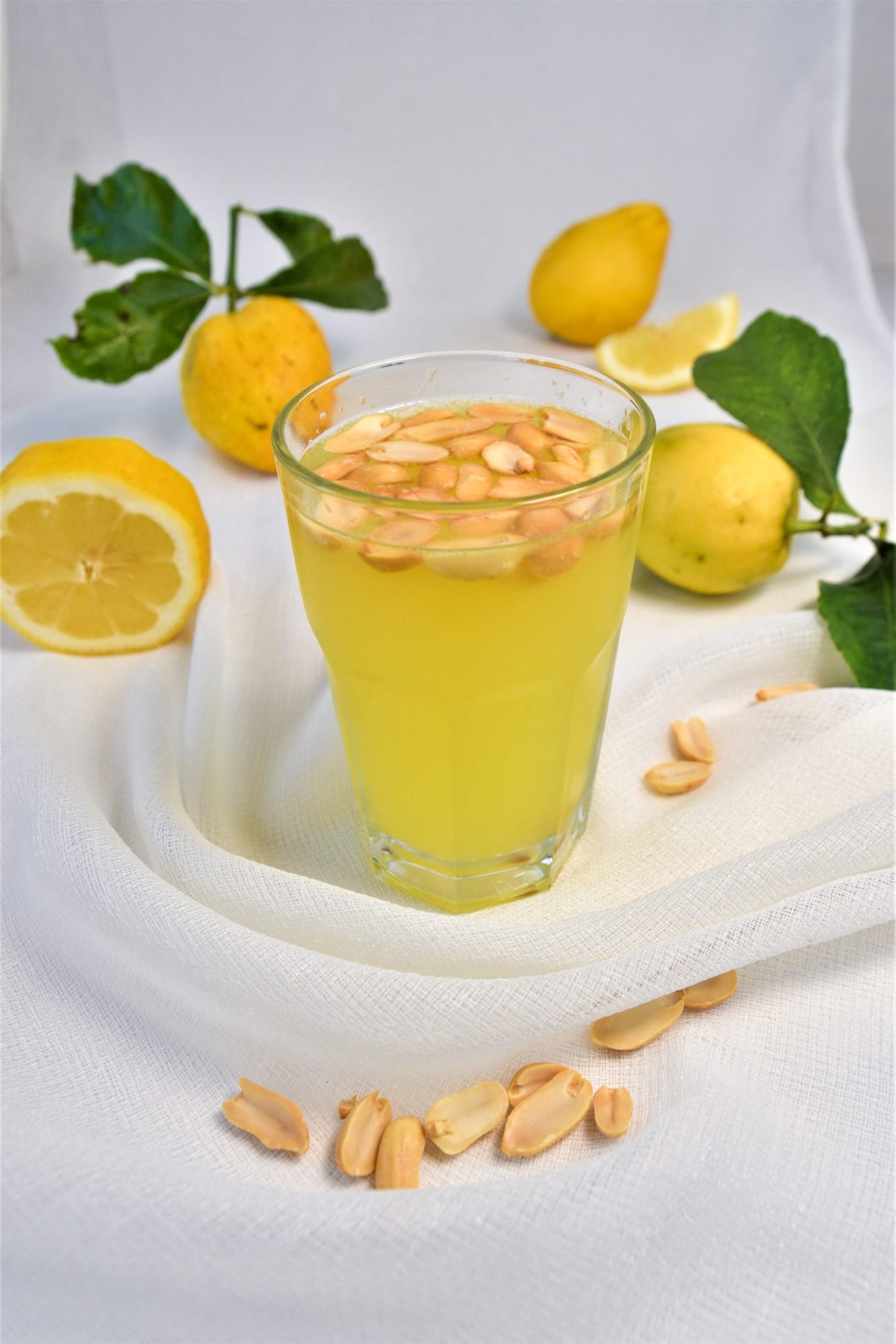 Fıstıklı Limonata Alanya’nın Tescilli Lezzeti Oldu